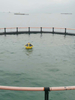 Probest PB -060-AY Boya Monitoreo de la calidad del agua del lago Monitoreo en tiempo real de la calidad del agua, temperatura, PH, conductividad, oxígeno disuelto y turbidez.