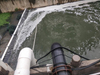 Casos de monitoreo de Ningde de prueba de agua de río negro y maloliente