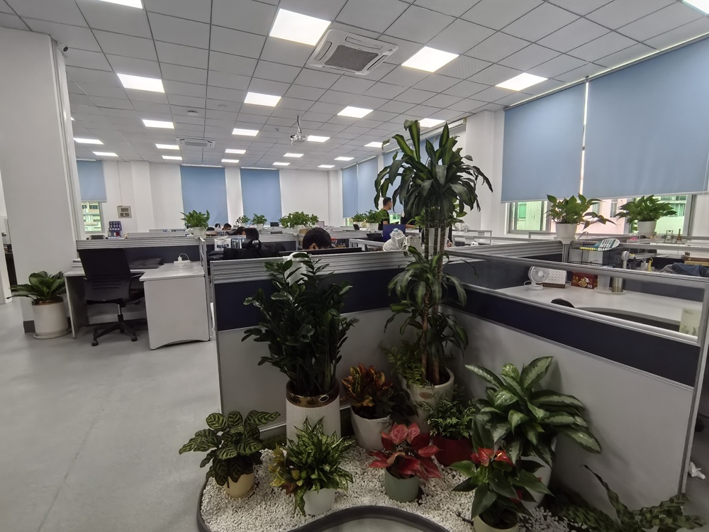 El Departamento Integrado de PROBEST finalmente se ha instalado en su nueva sede