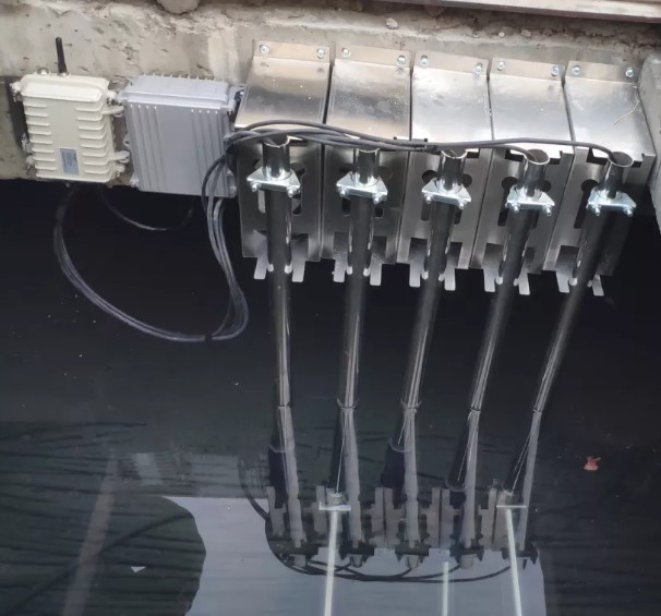 Sensor de Do Do Do Digital de salida RS485