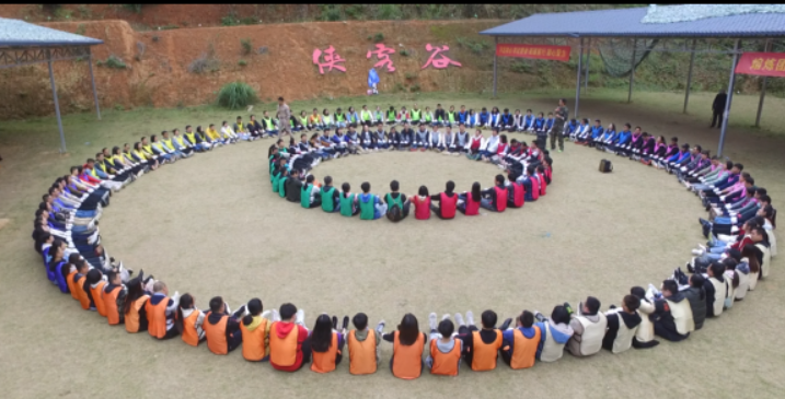 Probest Team Working