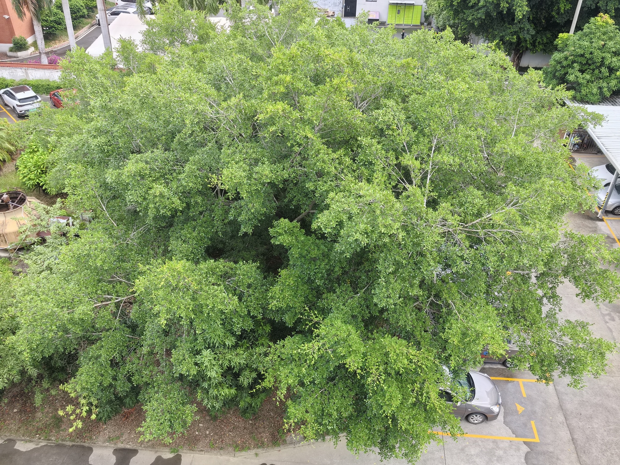 Entorno del fabricante de sensores de agua Probest